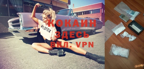 прущая мука Инта