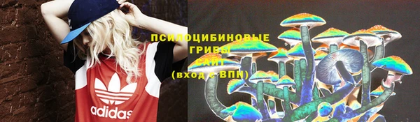 прущая мука Иннополис